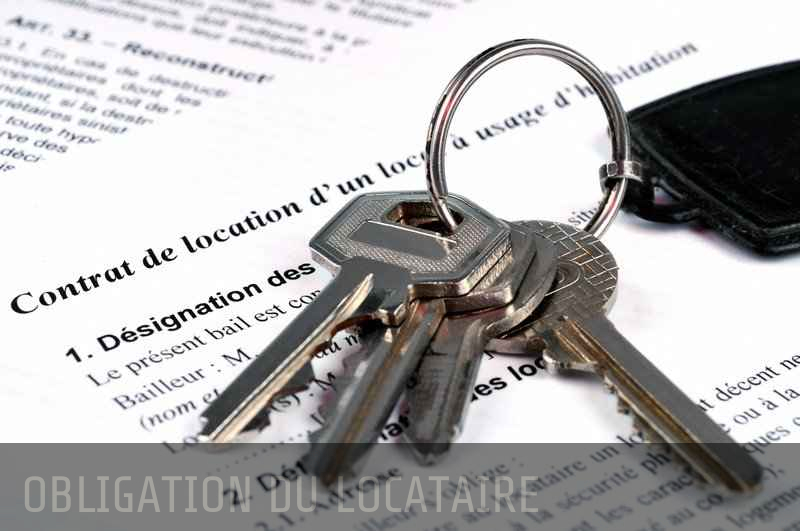 Obligation du locataire